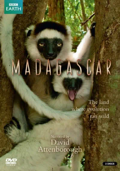 BBC: Мадагаскар смотреть онлайн в HD 1080